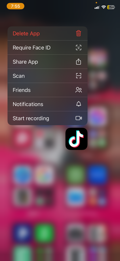 Apple iPhone 13 - 128 GB - Red (Unlocked)