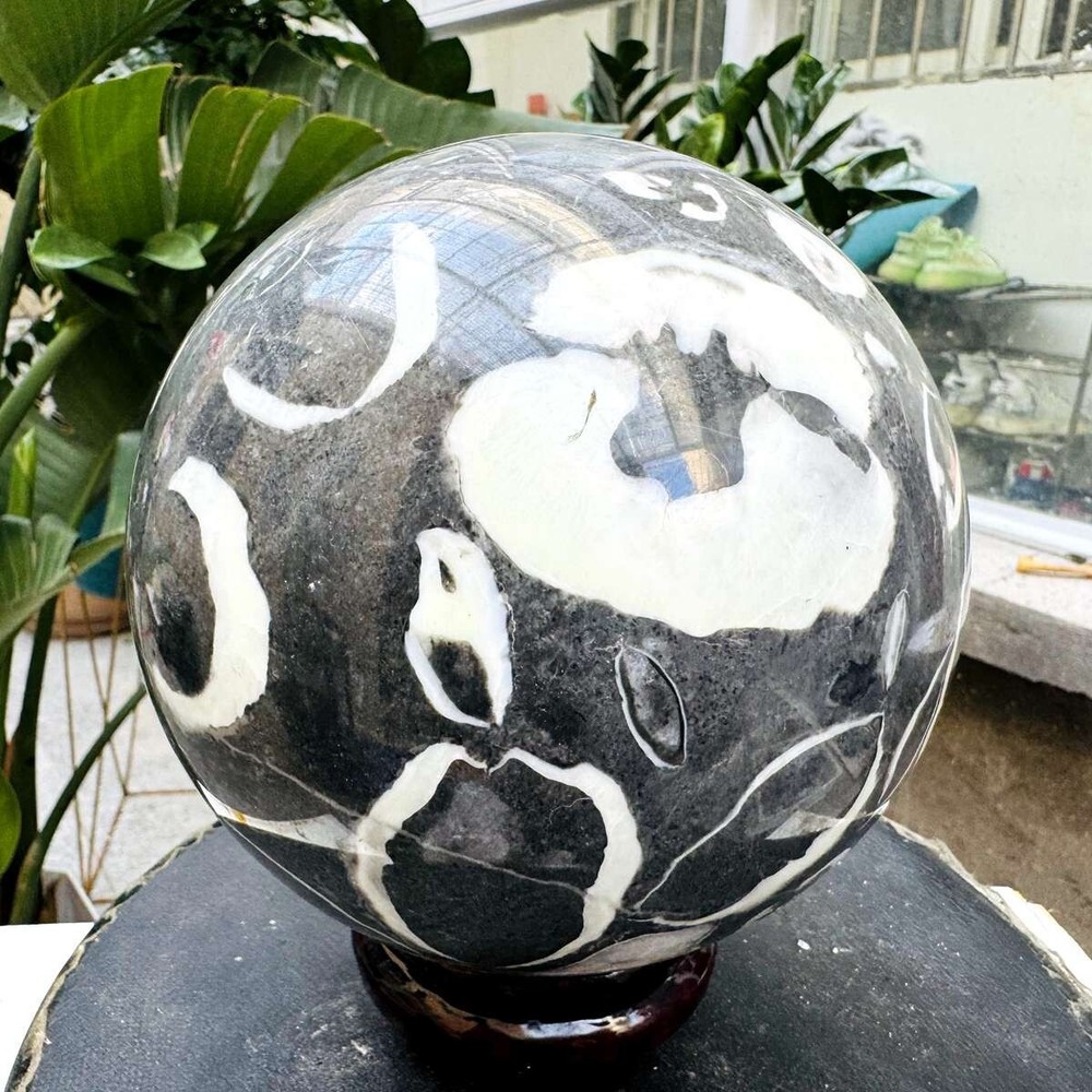 9.41LB Natural Shellstone Quartz Ball Crystal Sphere Meditation Energy Healing