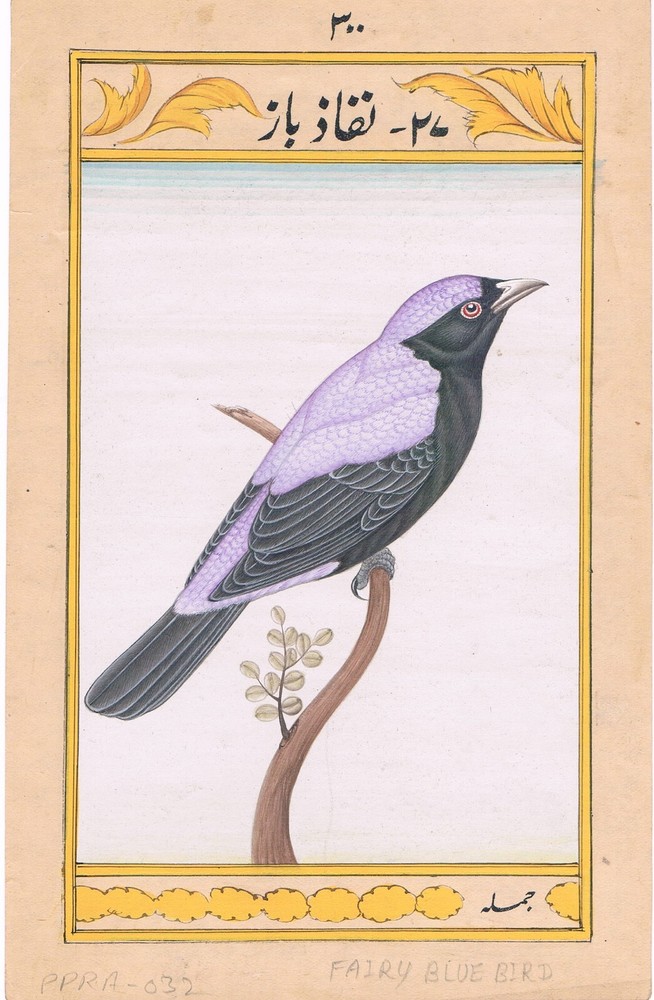 Handmade Fairy Blue Bird Nature Art Painting on Paper 5.5x8 Inches