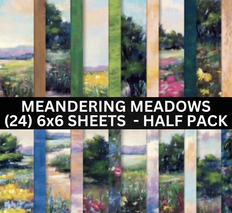 Stampin Up MEANDERING MEADOWS Designer Series Paper - Half Pack - (24) 6x6 Shts