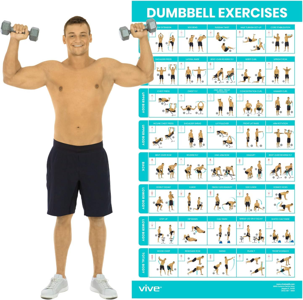 Dumbbell Workout Poster - Home Gym Exercise for Upper, Lower, Full Body - Lamina