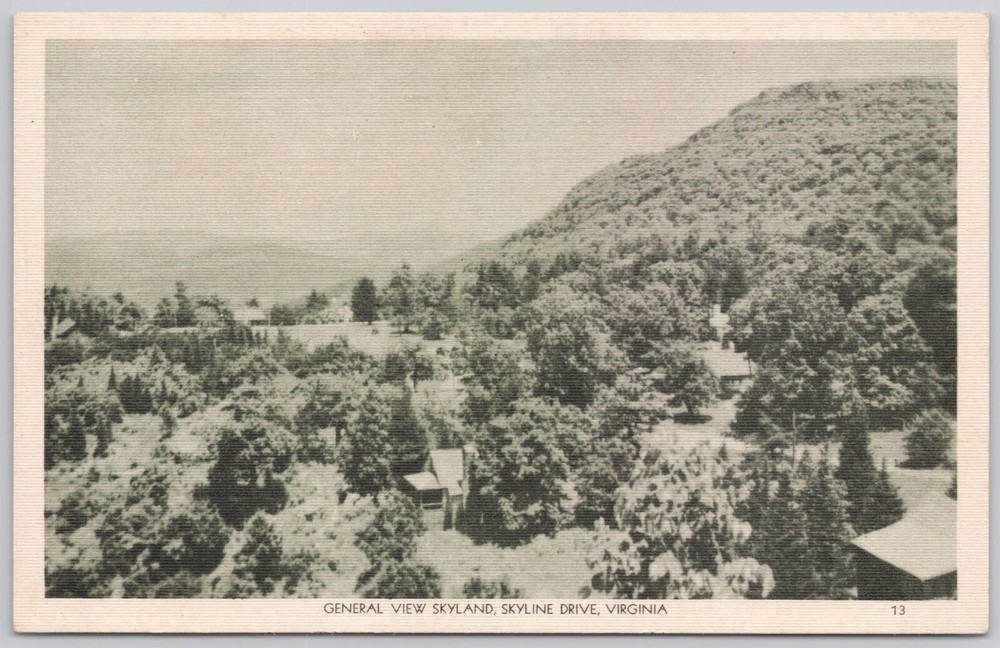 Skyline Drive Virginia Linen Postcard Skyland