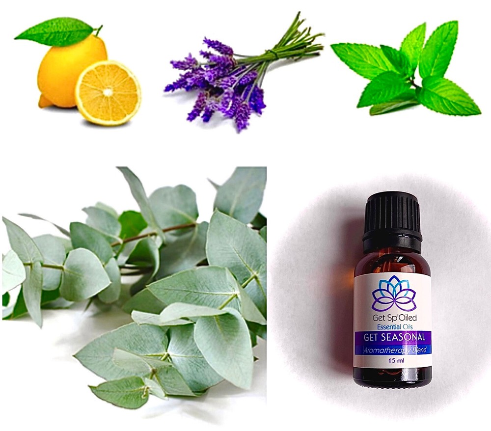 Boost Immunity with Seasonal Support Essential Oil Blend  -image