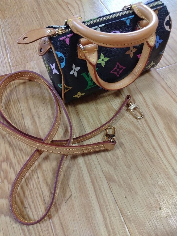 Louis Vuitton Takashi Murakami Monogram Nano Speedy 377304