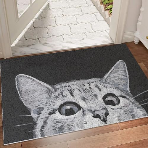Durable Cat Door Mat for Outdoor Entrance, Mud Absorbent Welcome Doormat