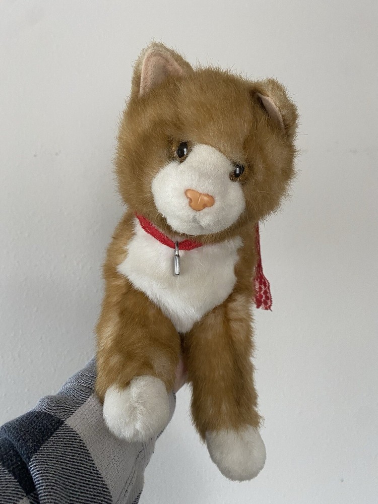 Douglas Cat Amber 16