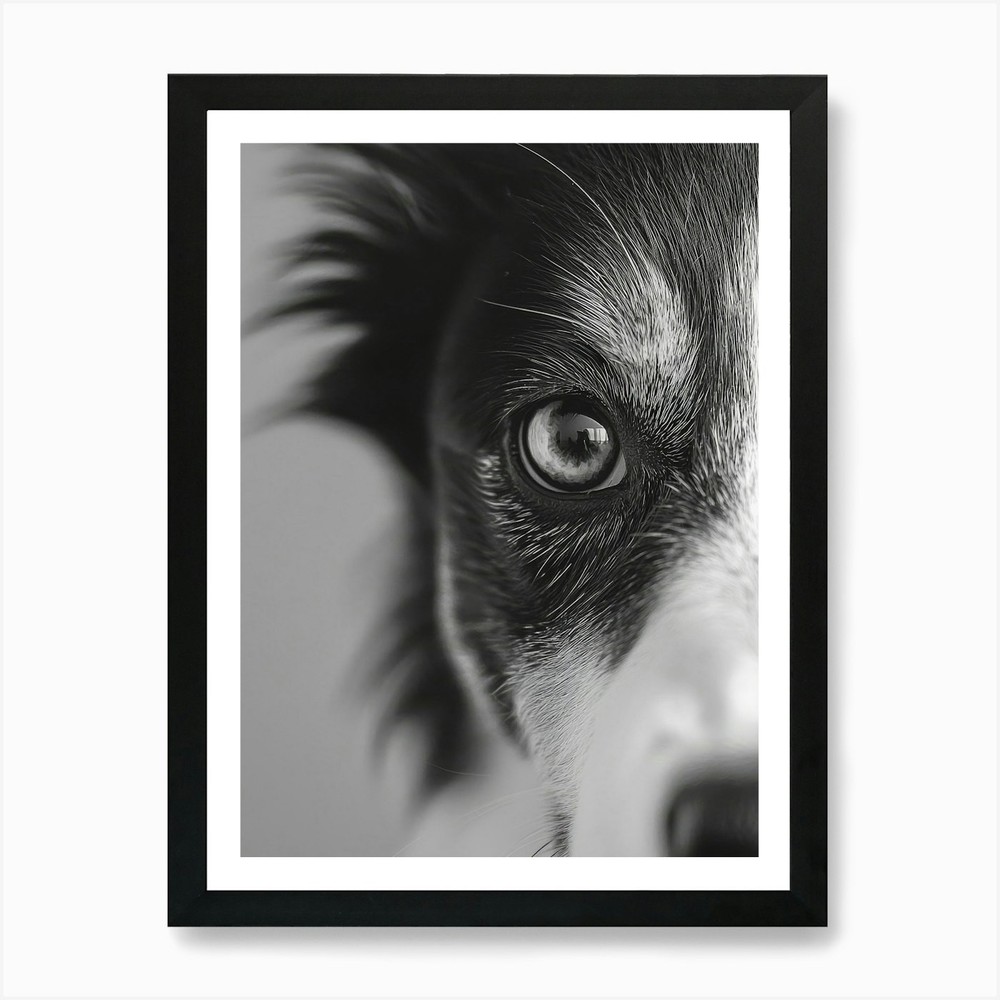 Black And White Dog Portrait 1 Art  Framed Wall Art Poster Canvas Print Picture