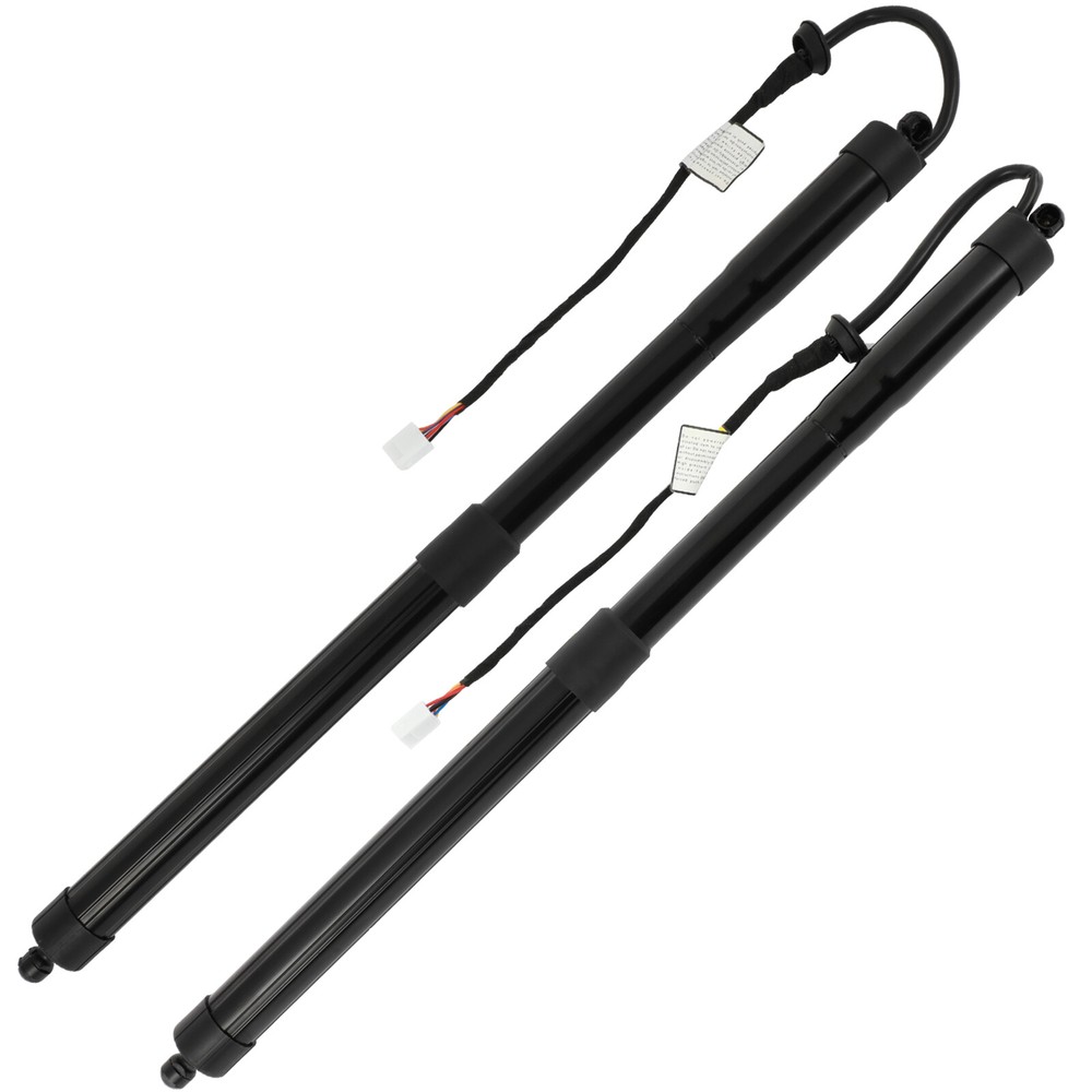 2Pcs Lift Supports for 2019-2020 Toyota RAV4 Liftgate Gas Struts Shocks