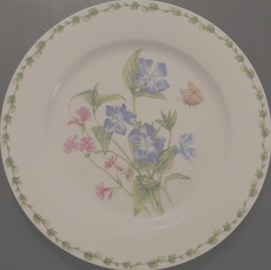 GRACIE Botanic Flower Butterfly White Floral Blue Green Retired Chop Plate 12