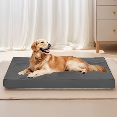 Orthopedic Dog Bed for Extra Large Dogs XL 41x27x3 Gray