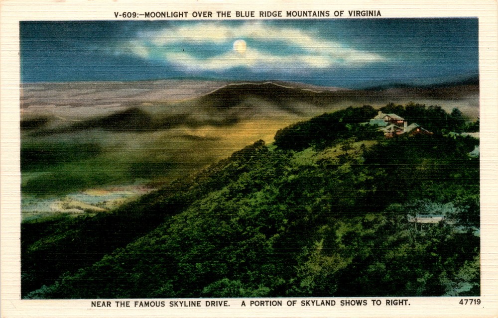 BLUE RIDGE MOUNTAINS, VIRGINIA, SKYLINE DRIVE, SKYLAND, Postcard