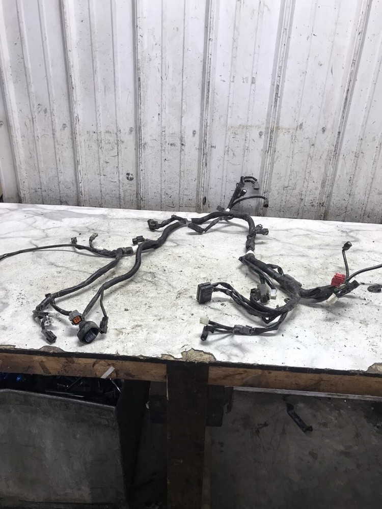 24 Kawasaki KLX300 KLX 300 F Wire Wiring Harness Loom