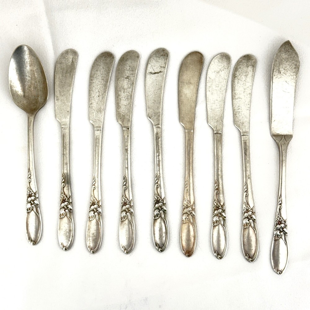 Lot of 9 Oneida WHITE ORCHID 7 Butter Spreaders 1 Teaspoon 1 Master Butter Knife