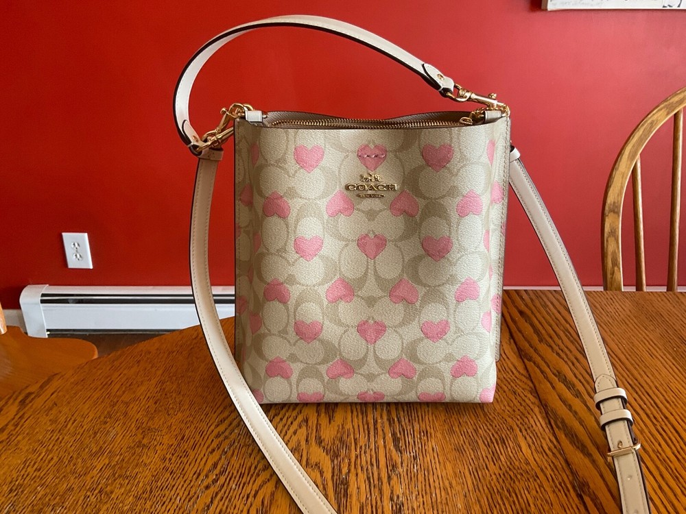 Coach Mollie 22 Signature Canvas Bucket Bag with Heart Print CP056