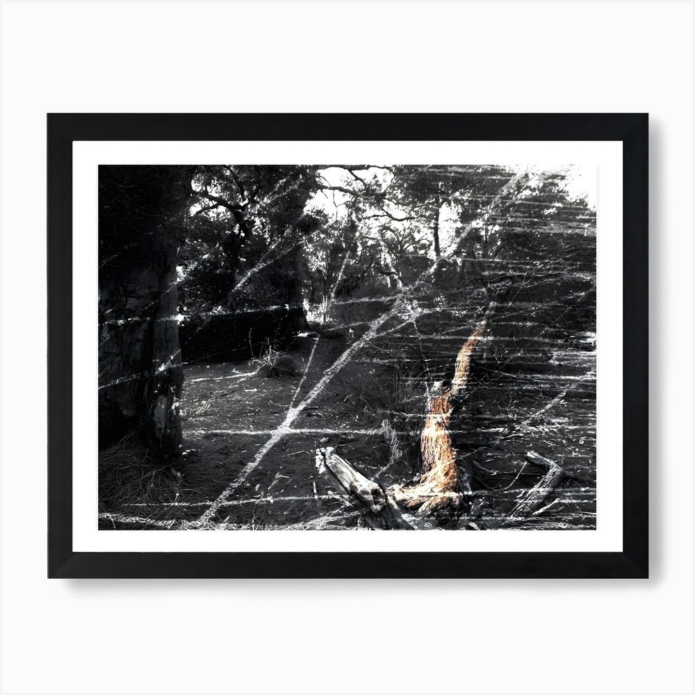 Trees Art Print Framed Wall Art Poster Canvas Print Picture