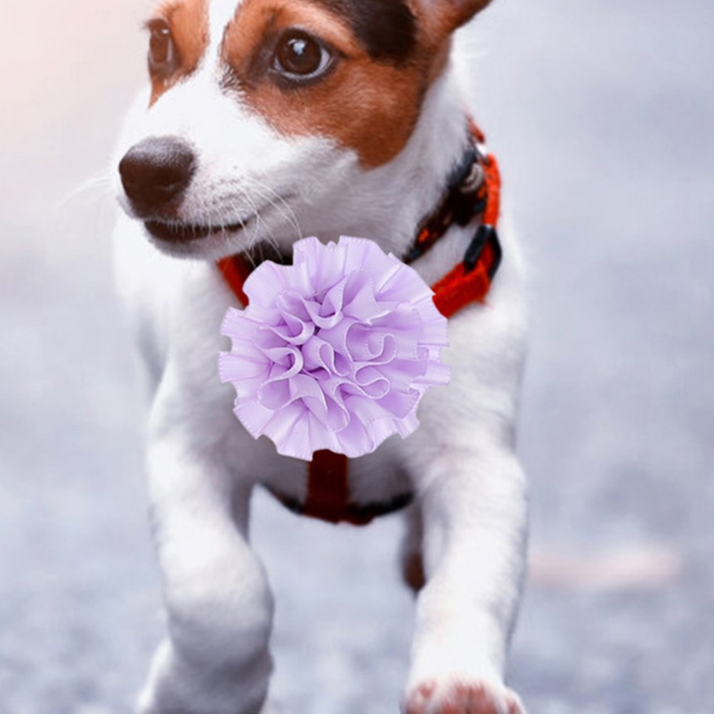 10 Pcs Floral Pet Collar Charms for Dogs and Cats