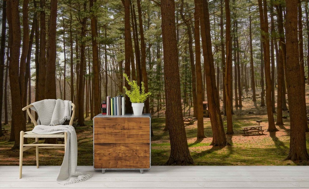 3D Forests Sunshine Landscape Wall Murals Wallpaper Murals Wall Sticker