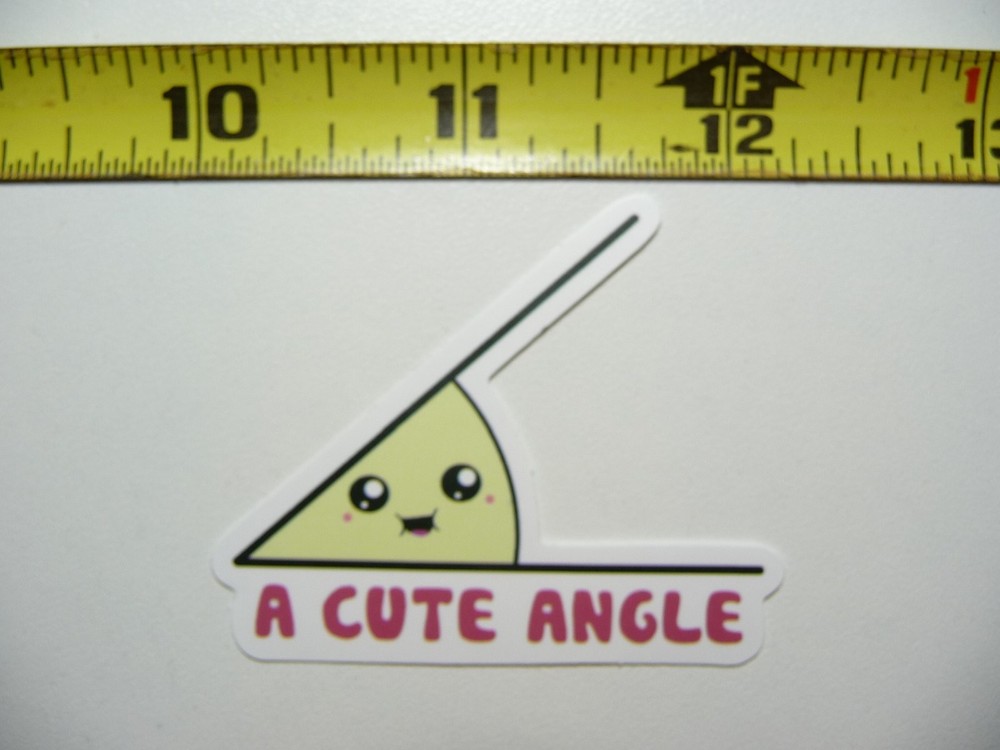 Funny Acute Angle Under 90 Degrees Math Sticker Decal for School Classroom