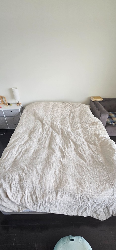 Queen sized bed with Matress