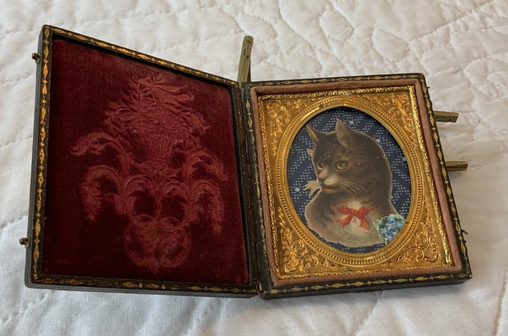 Antique Victorian Die Cut Ephemera Framed, Full Union Case, Kitty Cat W/ Bow