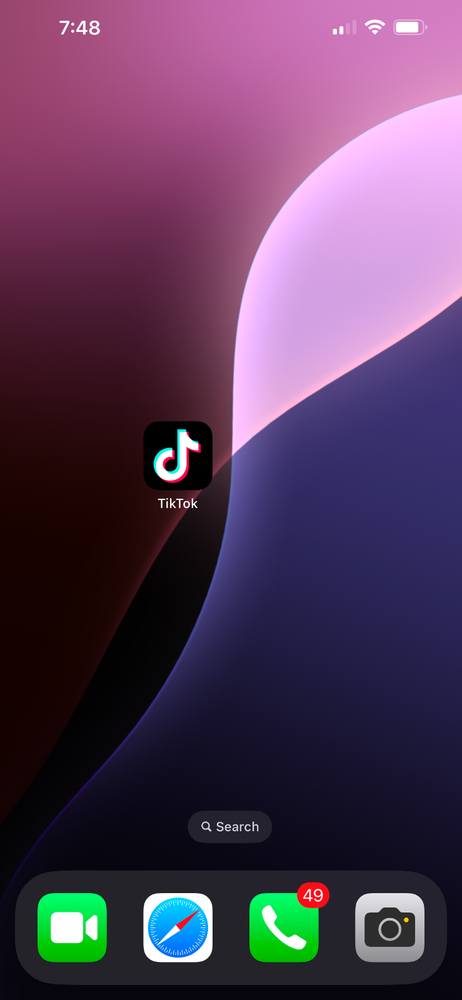 Apple iPhone 13 Pro Max - 128 GB - Gray (Unlocked)