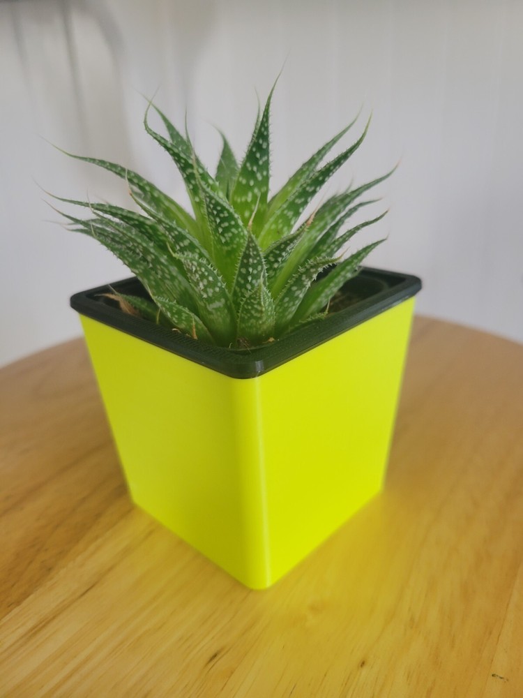Mini Succulents Square Planter, 3D printed, variety of colors