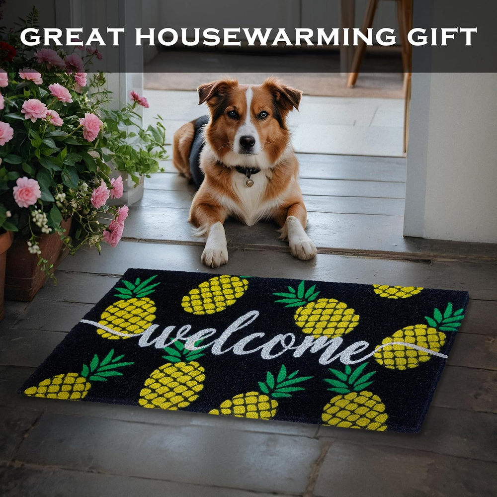 Tropical Pineapple Doormat 30x17 Inch Outdoor Welcome Mat for Summer