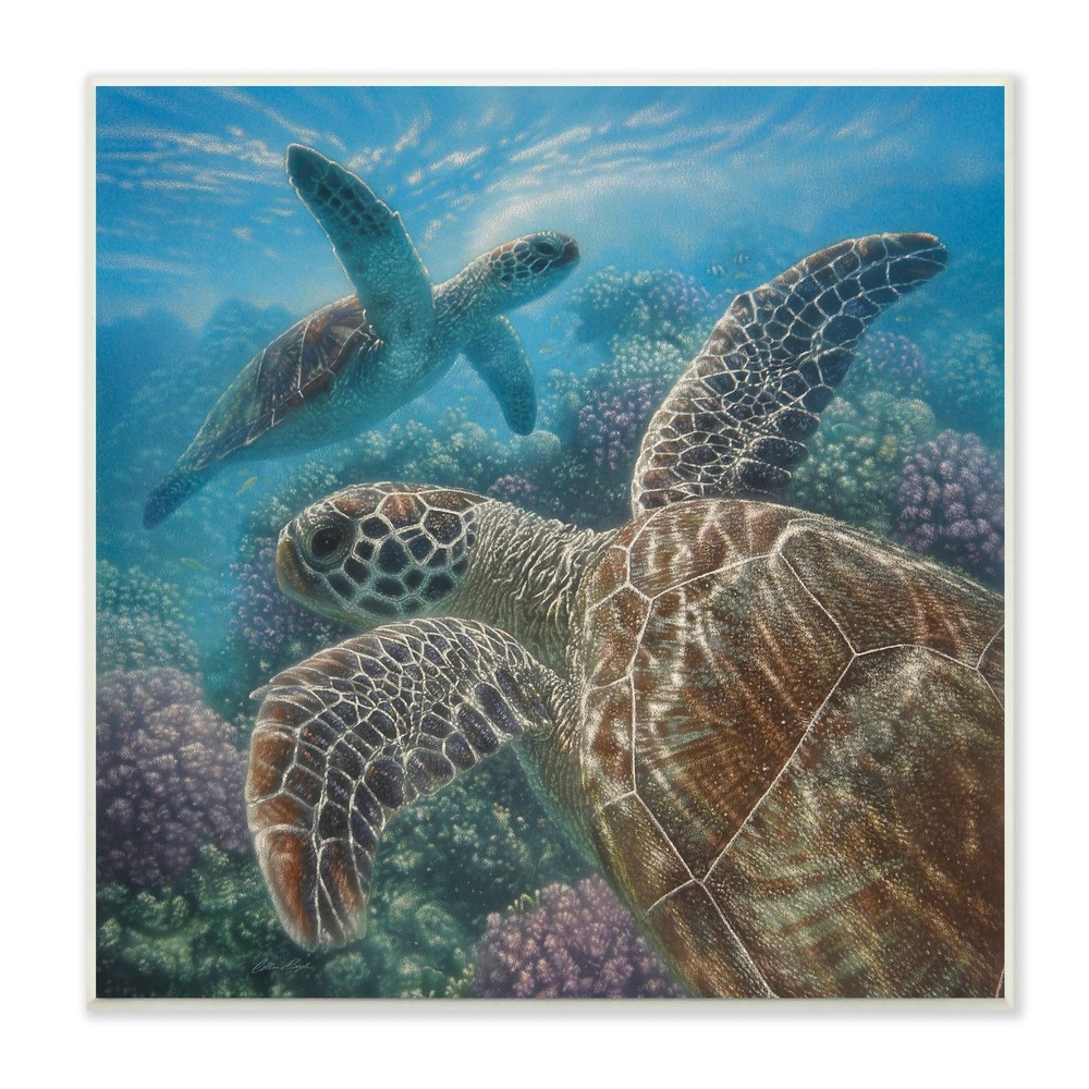 Stupell Sea Turtle Pair Coral Reef Ocean Life Scene Wood Blue 12 x 12