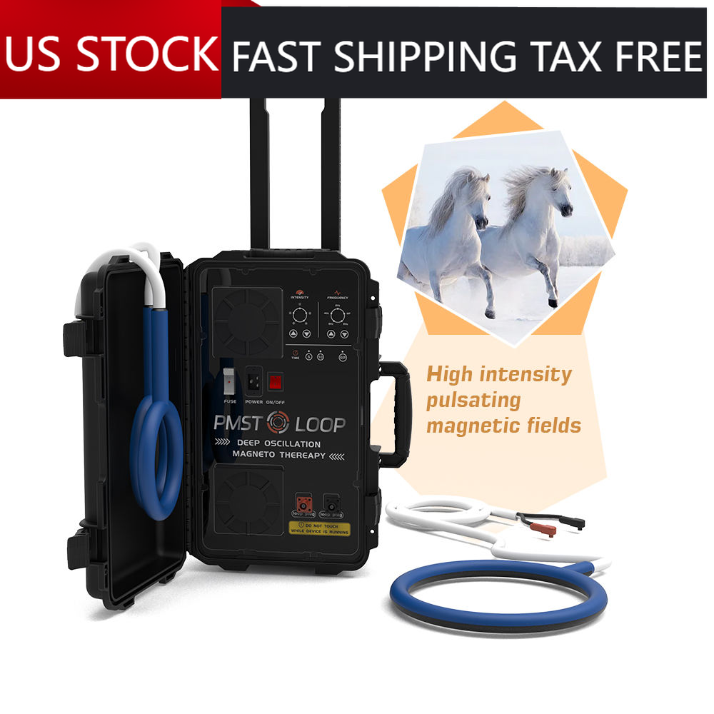Pemf Pmst Loop Pain Ruction Magnetic Therapy Device for Horses