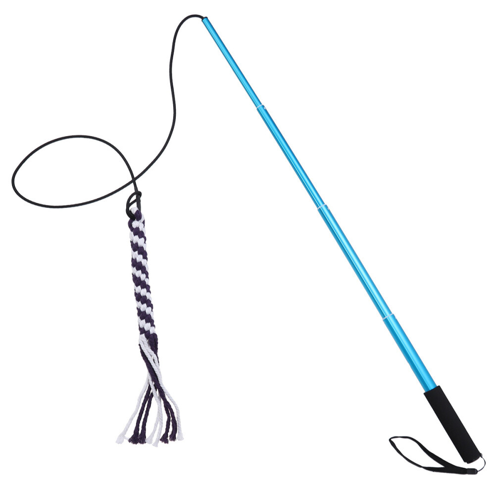 Interactive Extendable Portable Funny Exercise Teaser Rod Dogs Puppy Cats