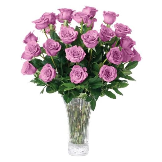 1 Dozen Lavender Roses Bouquet, Best Next-Day Fresh Flower for Delivery Prime,-image