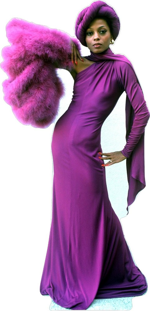 Diana Ross Fuschia Gown and Wrap 65