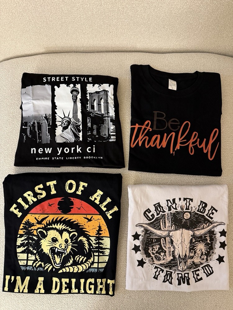 Men’s Size Large Graphic T-Shirt Bundle Assorted Brands Clearance Sale Bulk Lot-image