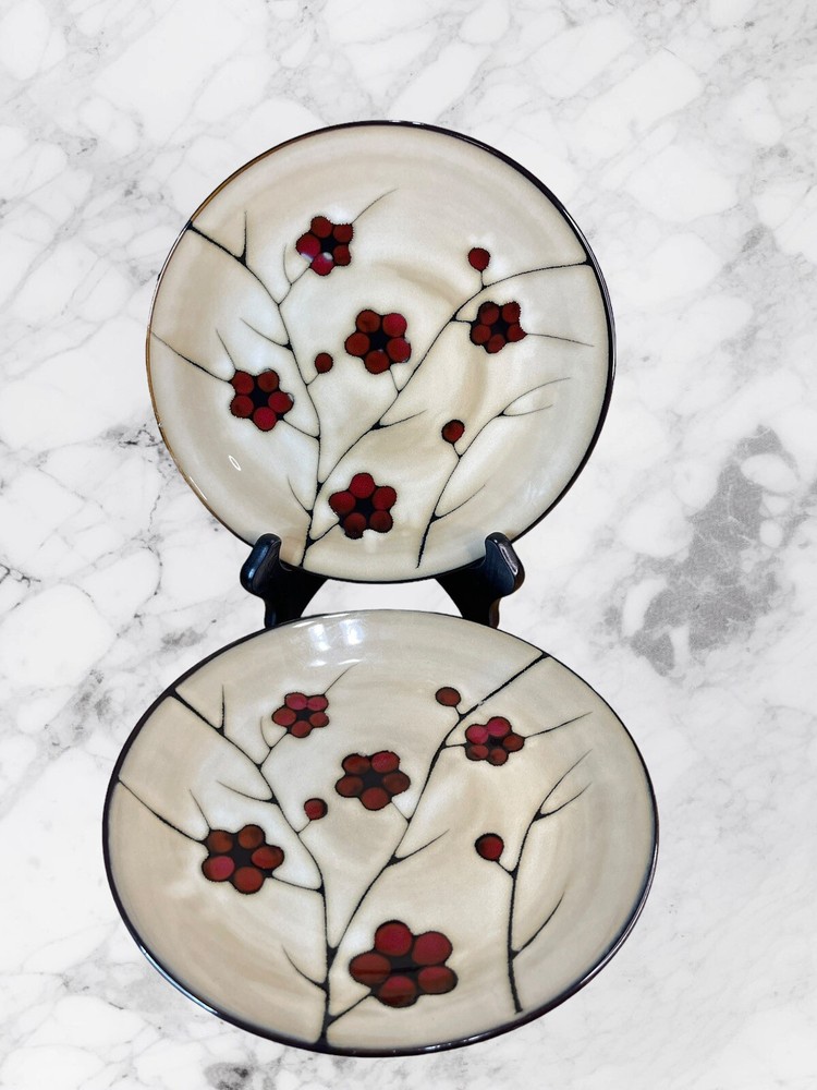 Pfaltzgraff Studio ASTER Poppy Flower Dinner Plates Set of 2 11 Inch Discontinued