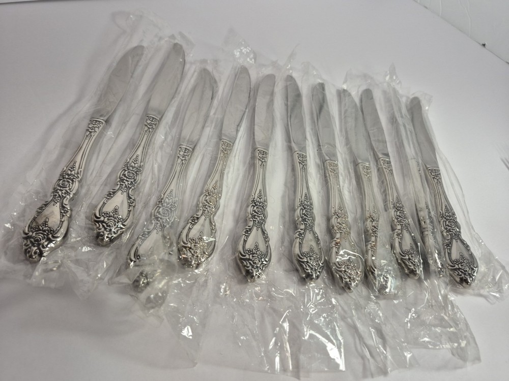 Wordsworth Oneida OCQ USA Stainless Steel 11 Hollow Handle Glossy Dinner Knives