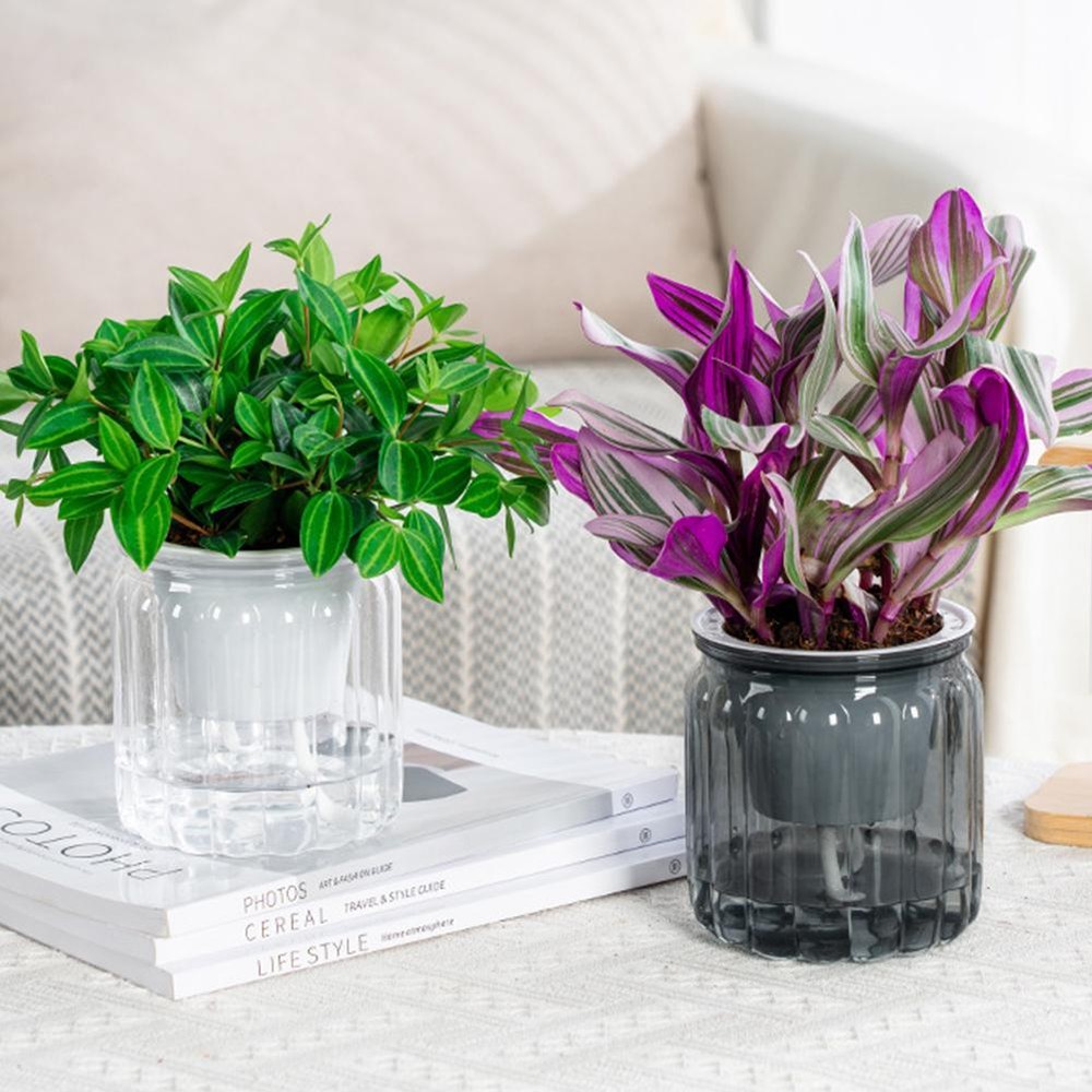 Self Watering Hydroponic Pot Plant Pots Self-absorbent Water Planter MinimฅGIFT