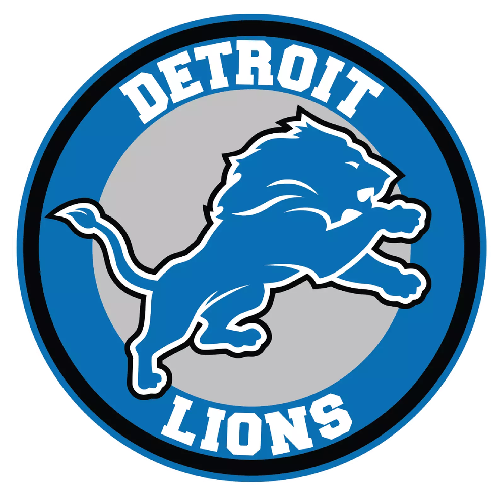 Detroit Lions NFL Weather Resistant Vinyl Die Cut Sticker Decal 12