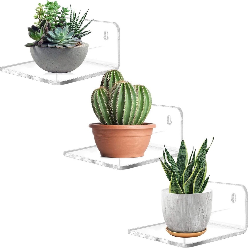 Trailwalk Acrylic Mini Floating Wall Shelf for Small Space Storage