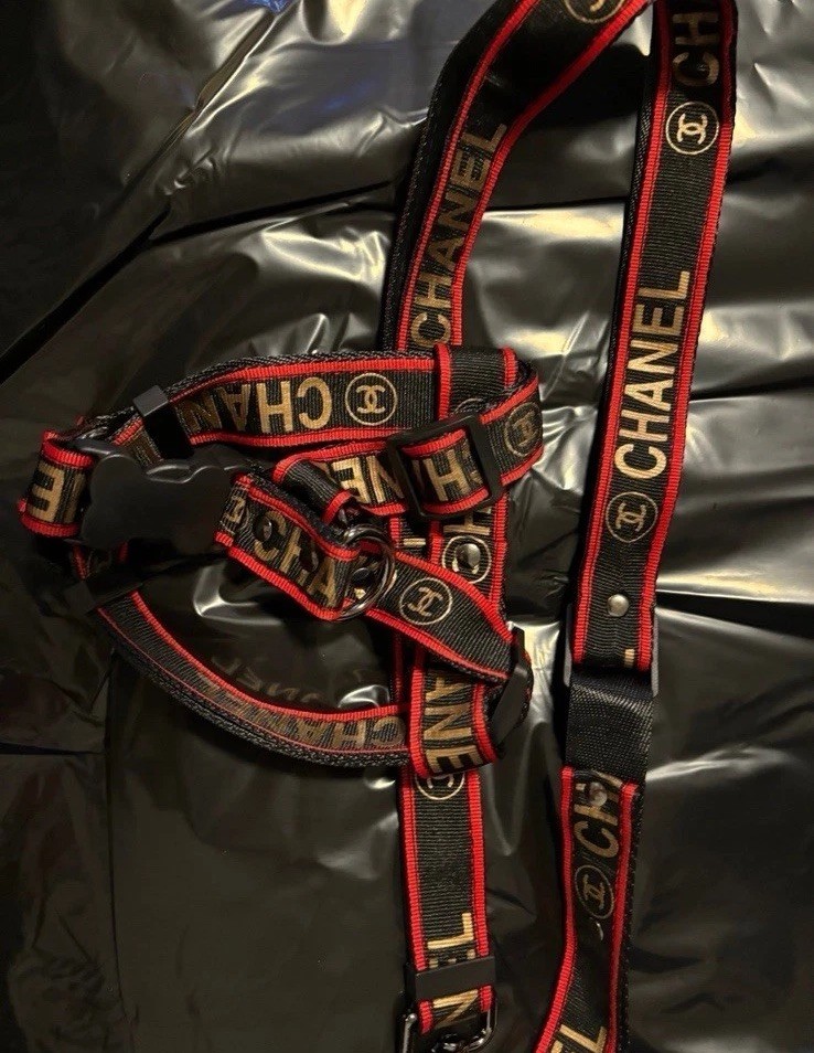 Dog Harness And Leash Set