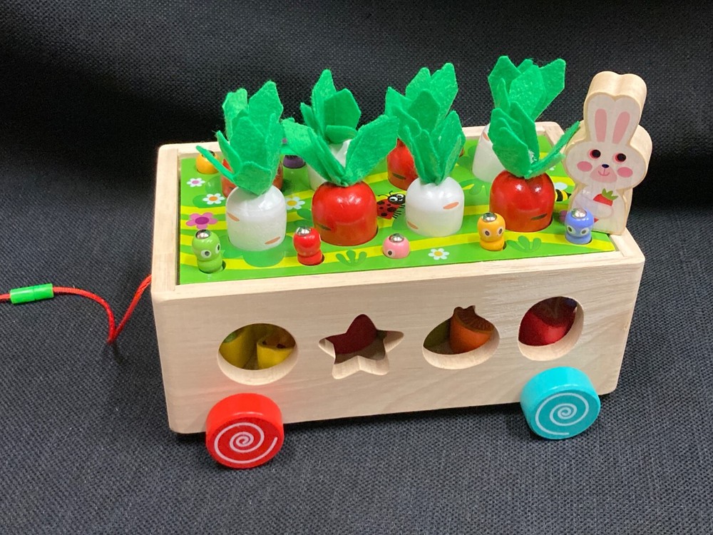 Montessori Wooden Bunny Fruit & Carrot Harvest Shape Sorter Pull Toy for Ages 3 and Up