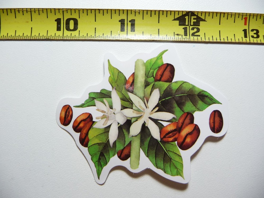 COFFEE PLANT BLOOMS BEANS DECAL STICKER BEVERAGE MORNING WAKE UP FUN