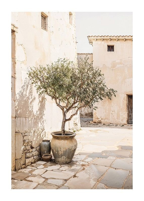 Olive Tree Mediterranean Wall Art No2 Poster for Home Decor  
