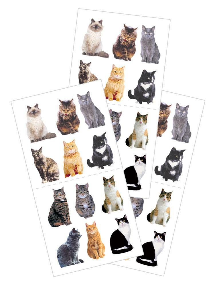 Mini Mixed Cats Kitty Stickers Planner Party Supply Papercraft Furry Pet Friends