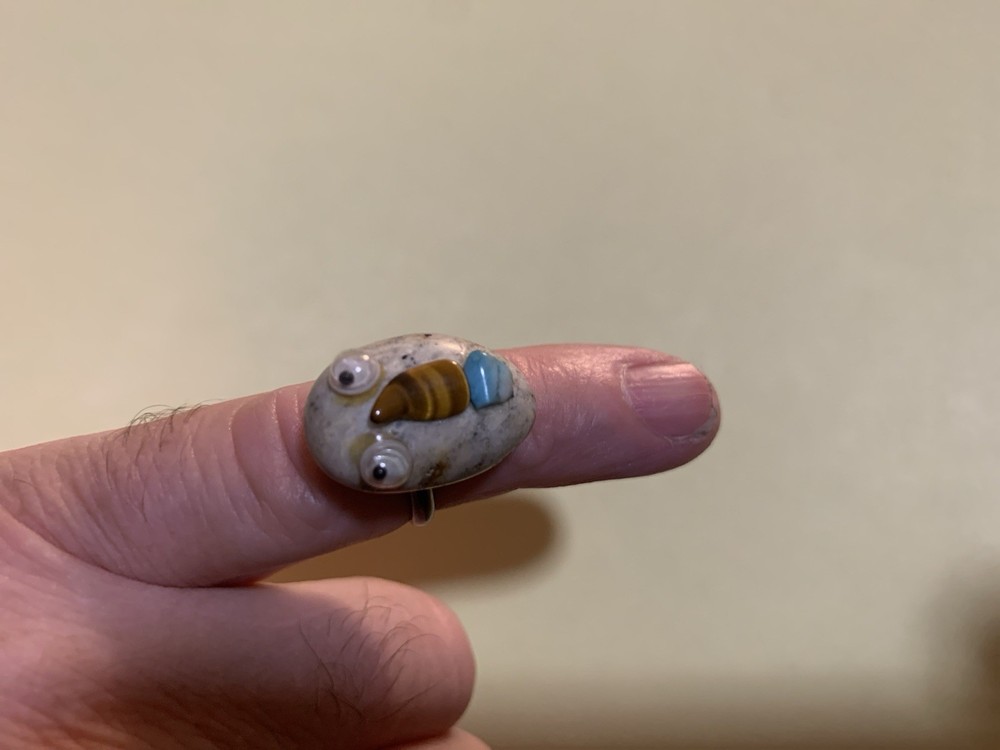 Pet rock ring for unique and quirky jewelry lovers