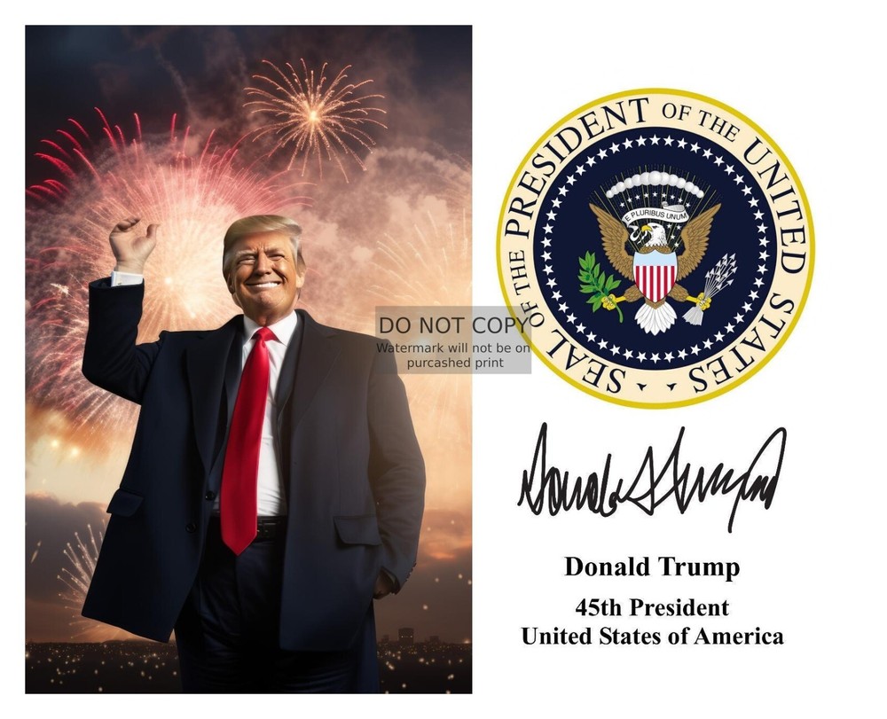 PRESIDENT DONALD TRUMP HAPPY NEW YEARS FIREWORKS PRESIDENTIAL SEAL 8X10 AI PHOTO-image