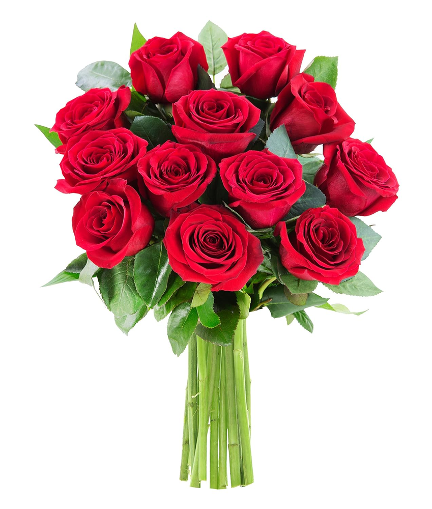 Kabloom PRIME NEXT DAY DELIVERY - the Romantic Classic Bouquet of 12 Fresh Red R-image