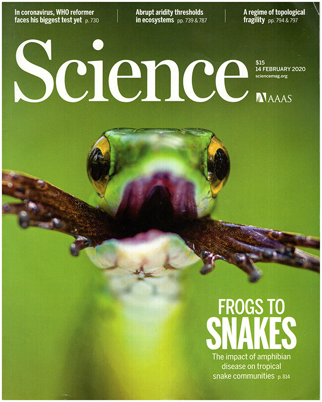 Science Magazine Vol 367 Issue 6479 February 14 2020 Edition