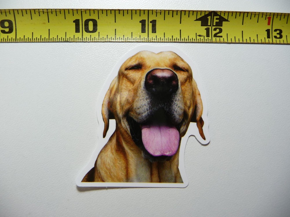 Larador Retriever Closed Eyes Funny Dog Decal Sticker for Pet Lovers