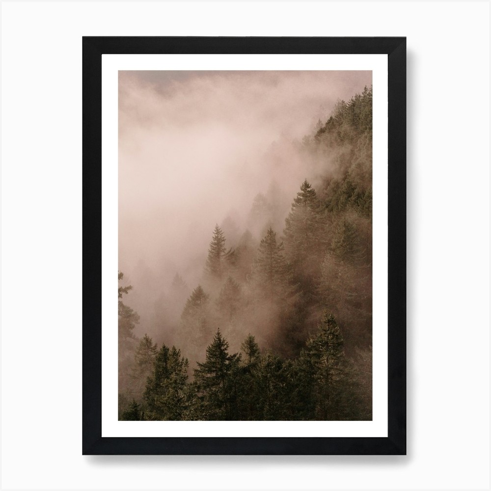 Foggy Trees Framed Canvas Art Print Wall Decor Picture  