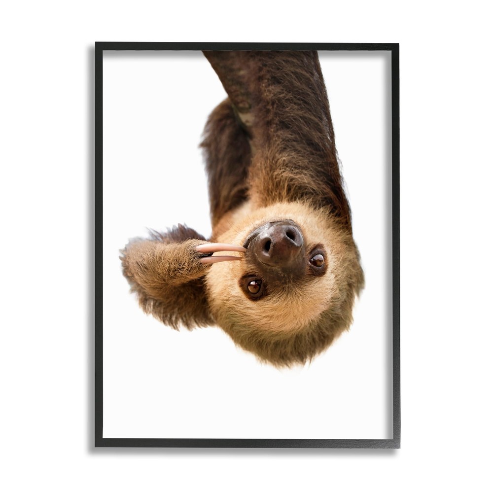 Upside-down Sloth Portrait Black Framed Giclee Art Design by Sisi and Seb
